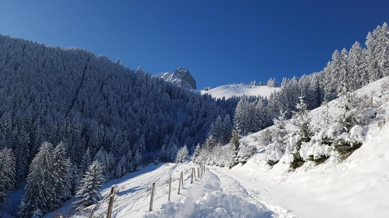Charming Chalet With Panoramic View And Private Parking In Gruyere Gruyeres Zewnętrze zdjęcie